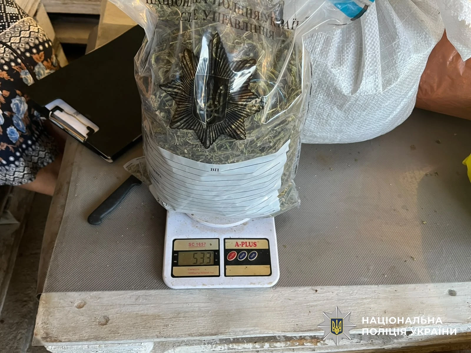 Спецоперація «Джентльмени»: на Миколаївщині вилучили більше тисячі кущів конопель