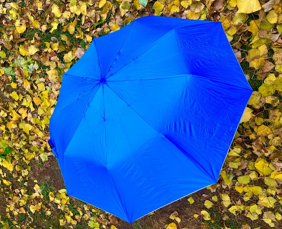 У Південноукраїнську дощить: осінні фото під будь-який настрій