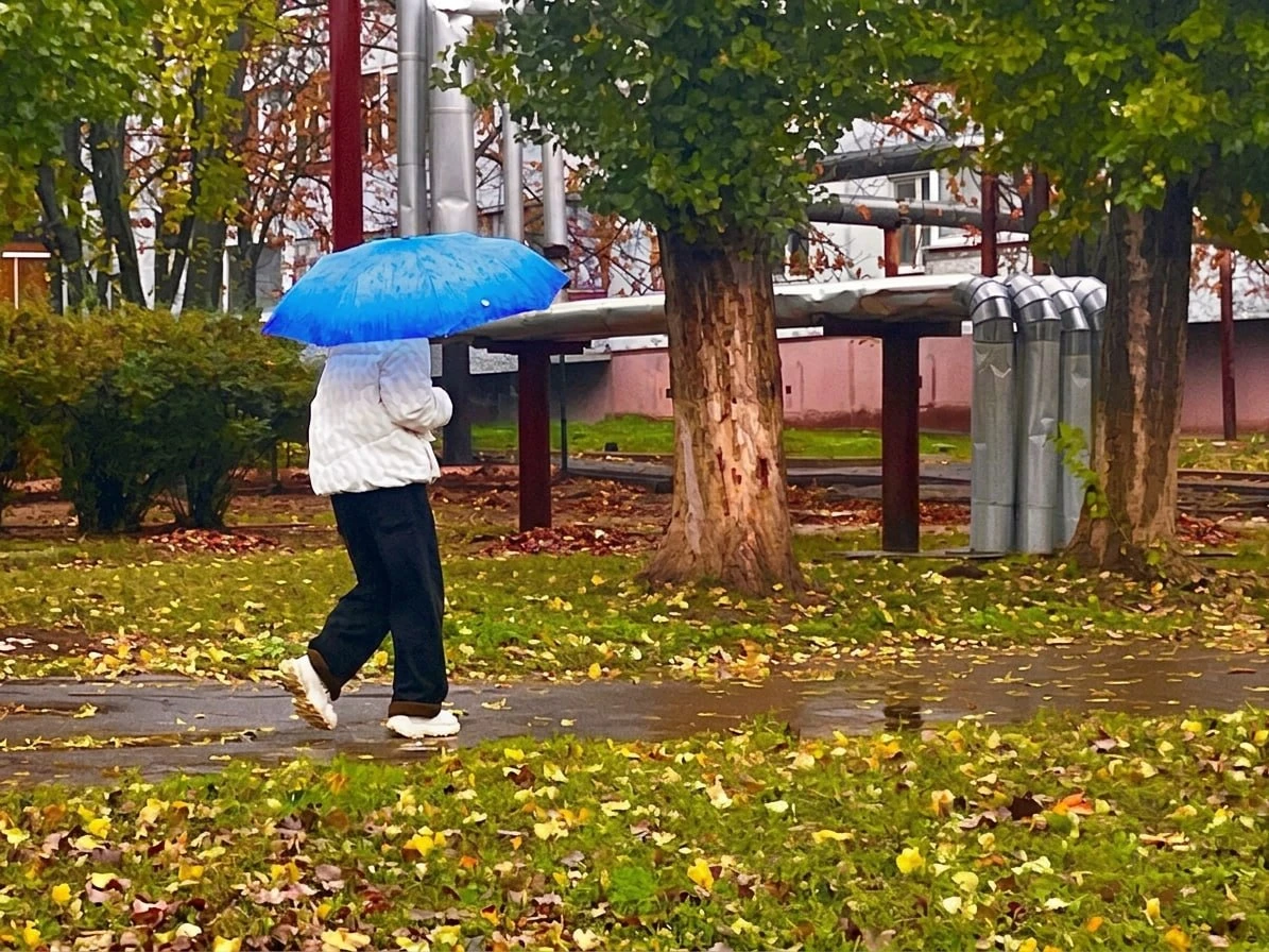 У Південноукраїнську дощить: осінні фото під будь-який настрій