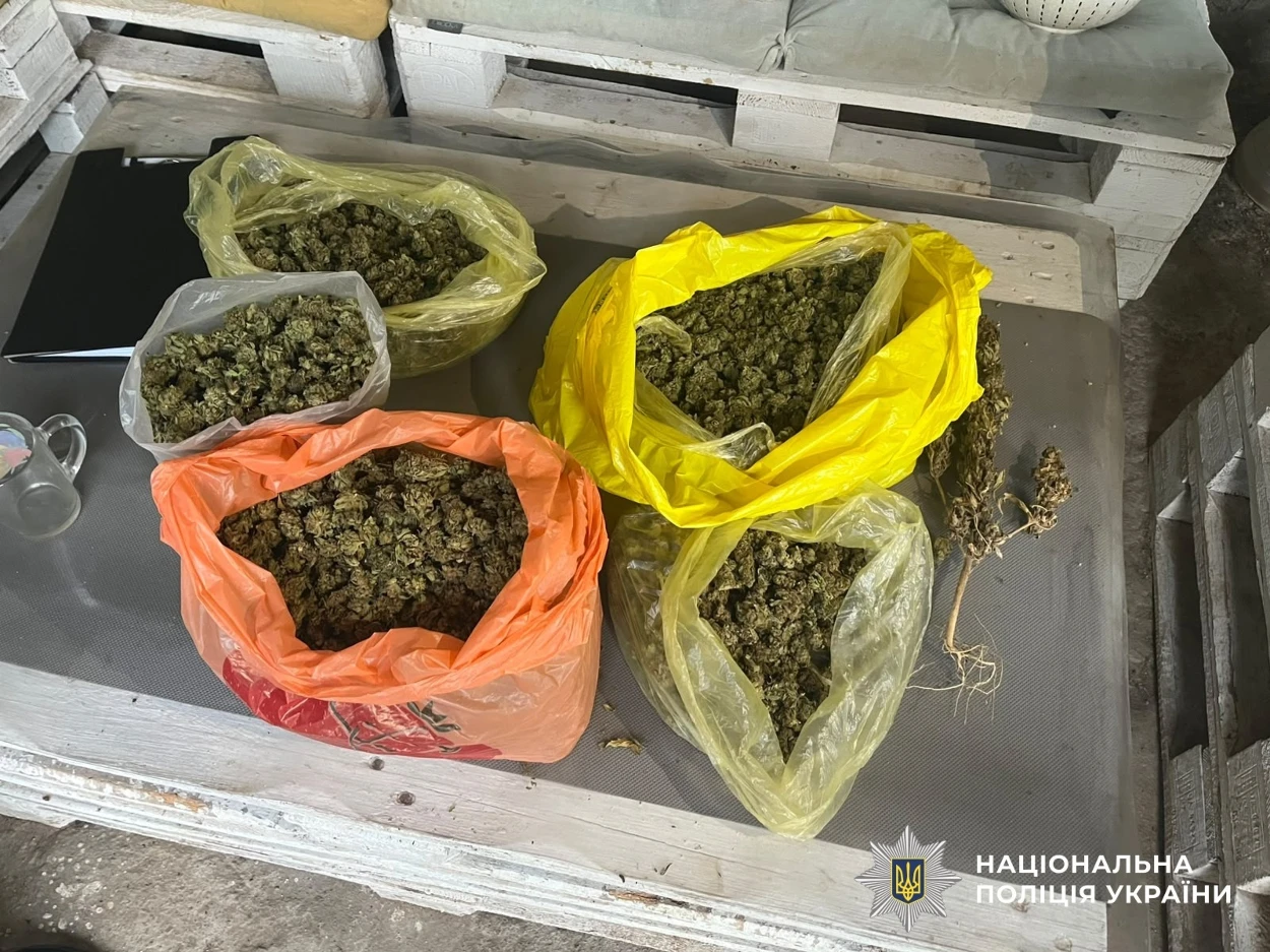 Спецоперація «Джентльмени»: на Миколаївщині вилучили більше тисячі кущів конопель
