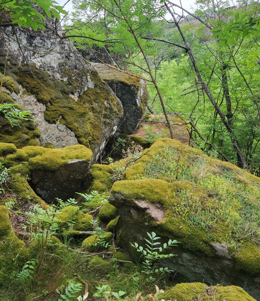 На цих скелях можуть бути петрогліфи