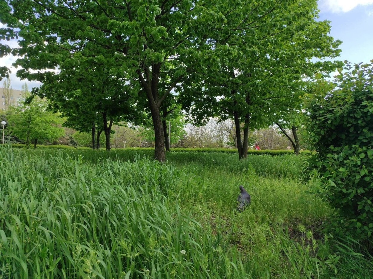 Парк Перемоги, травень 2021