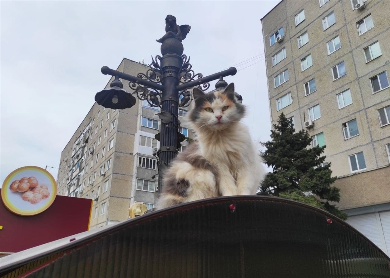 А хтось незадоволений, що його розбудили