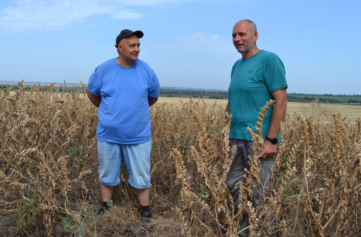 Колись на кургані стояли антропоморфні стели, зараз - ентузіасти краєзнавці.