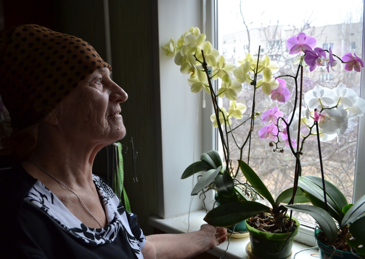 Їй сьогодні 80, а на підвіконнях цвітуть 20 орхідей