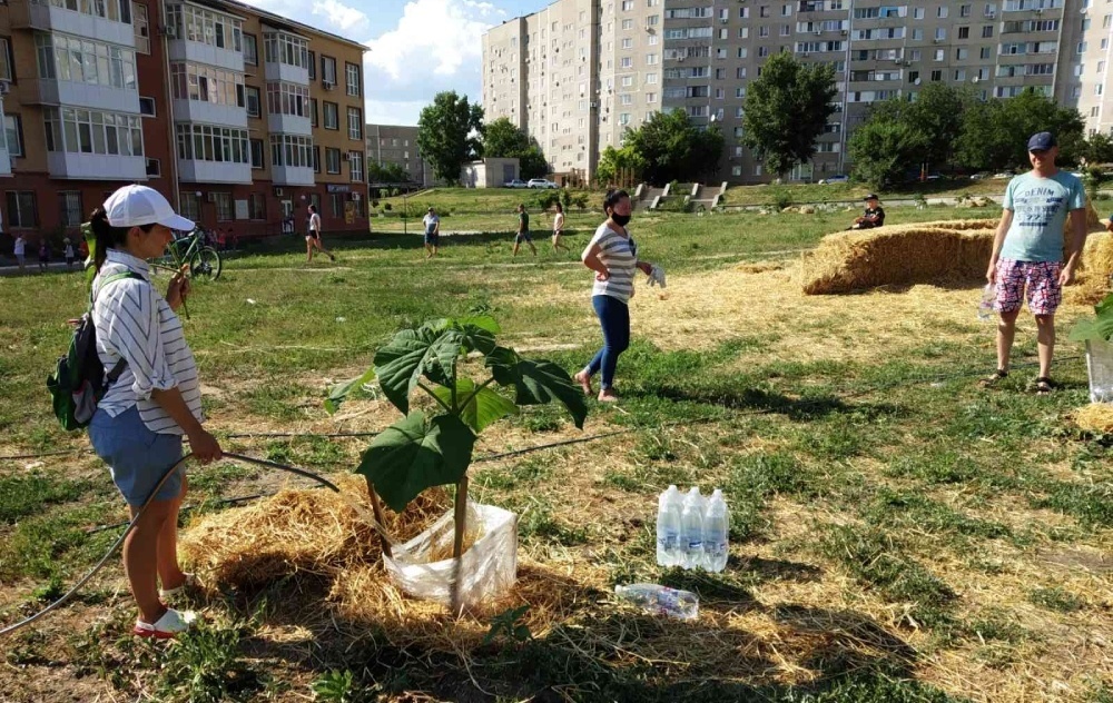В бутылках - вода для работающих, а в шланге - для павловний