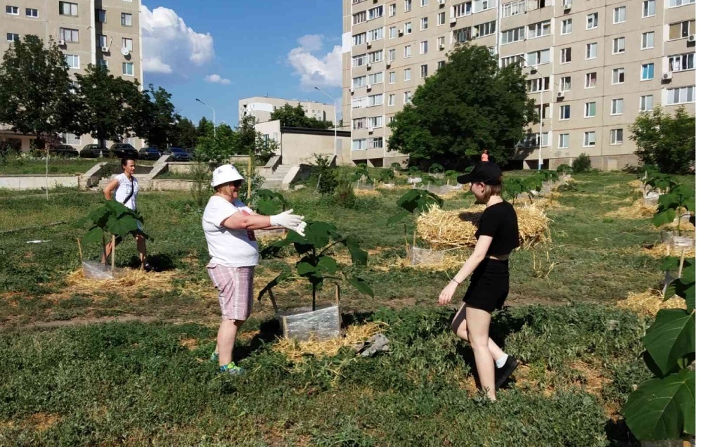 Еще немного соломки не повредит
