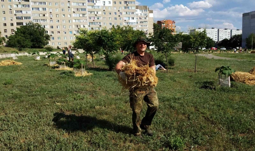 И на этой стороне парка поухаживаем за павловнией