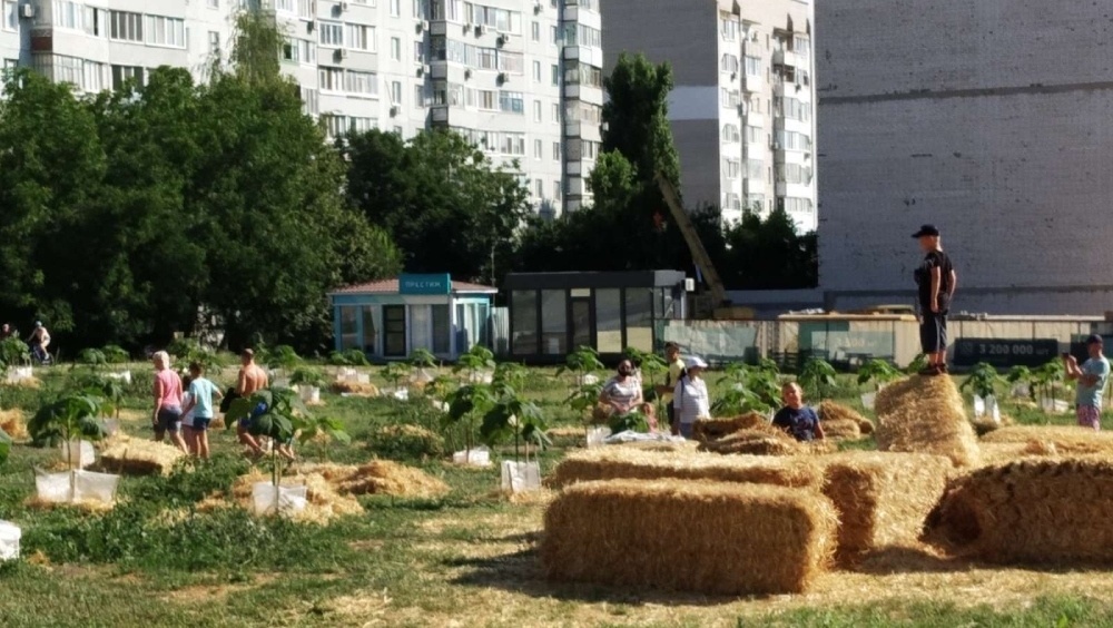 Контроль сверху: везде ли есть солома?