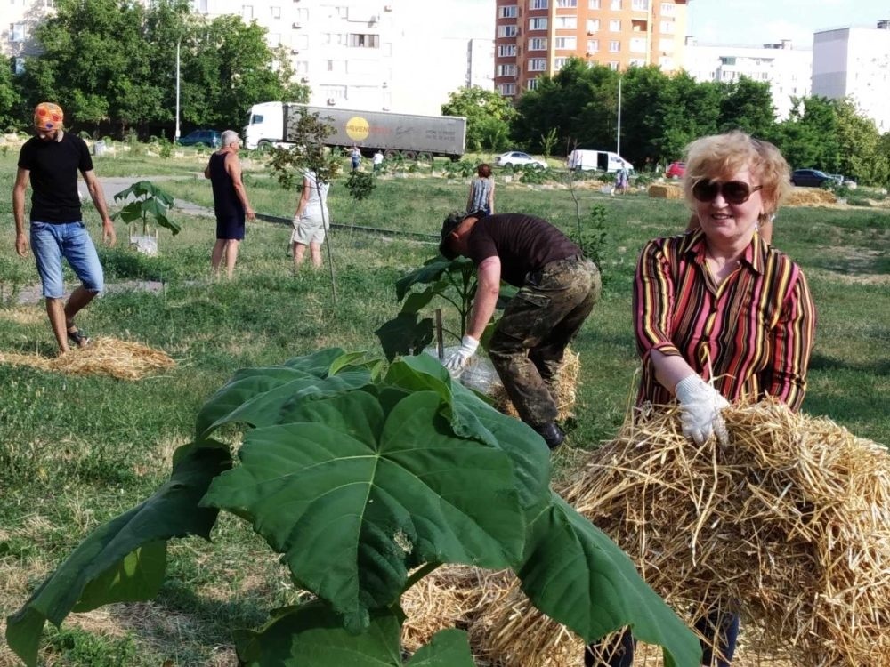 Работа спорится. Каждый занят своим