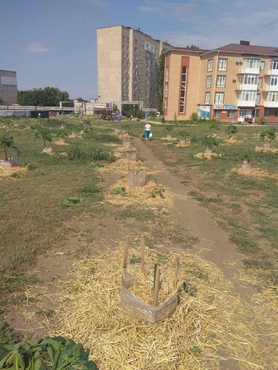 Еще вчера они были живые...