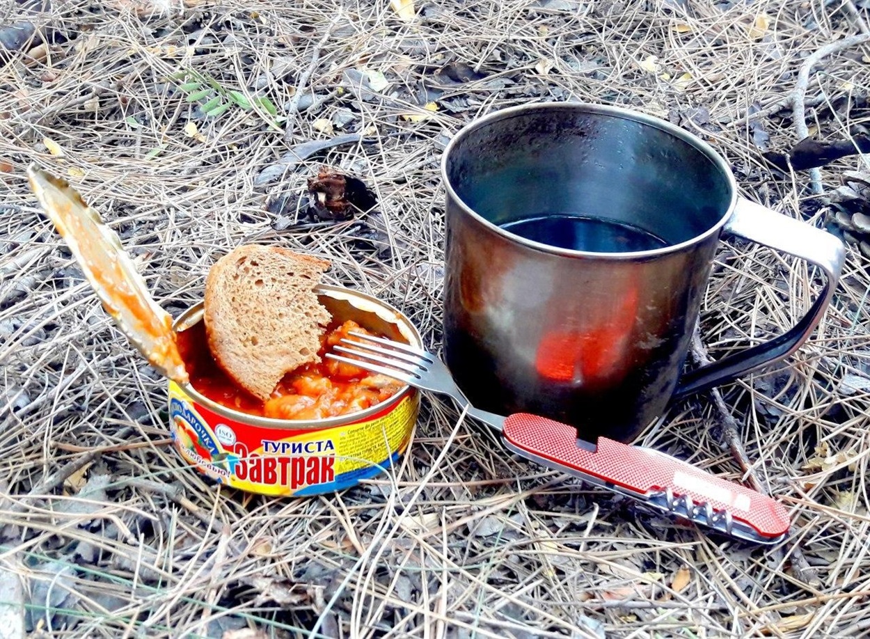 Обед в сосновом лесу