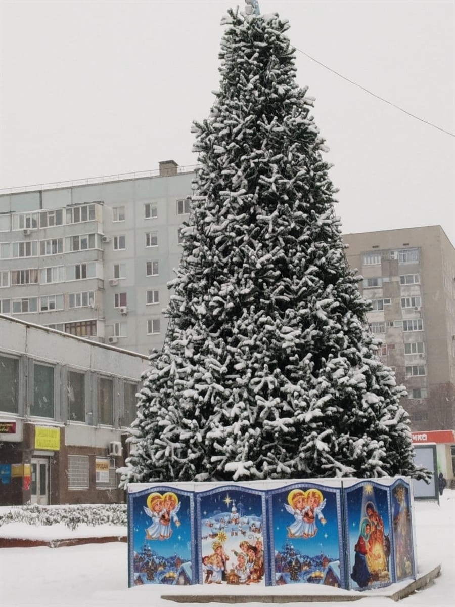 На Старий Новий рік ялинка прикрашена самою природою