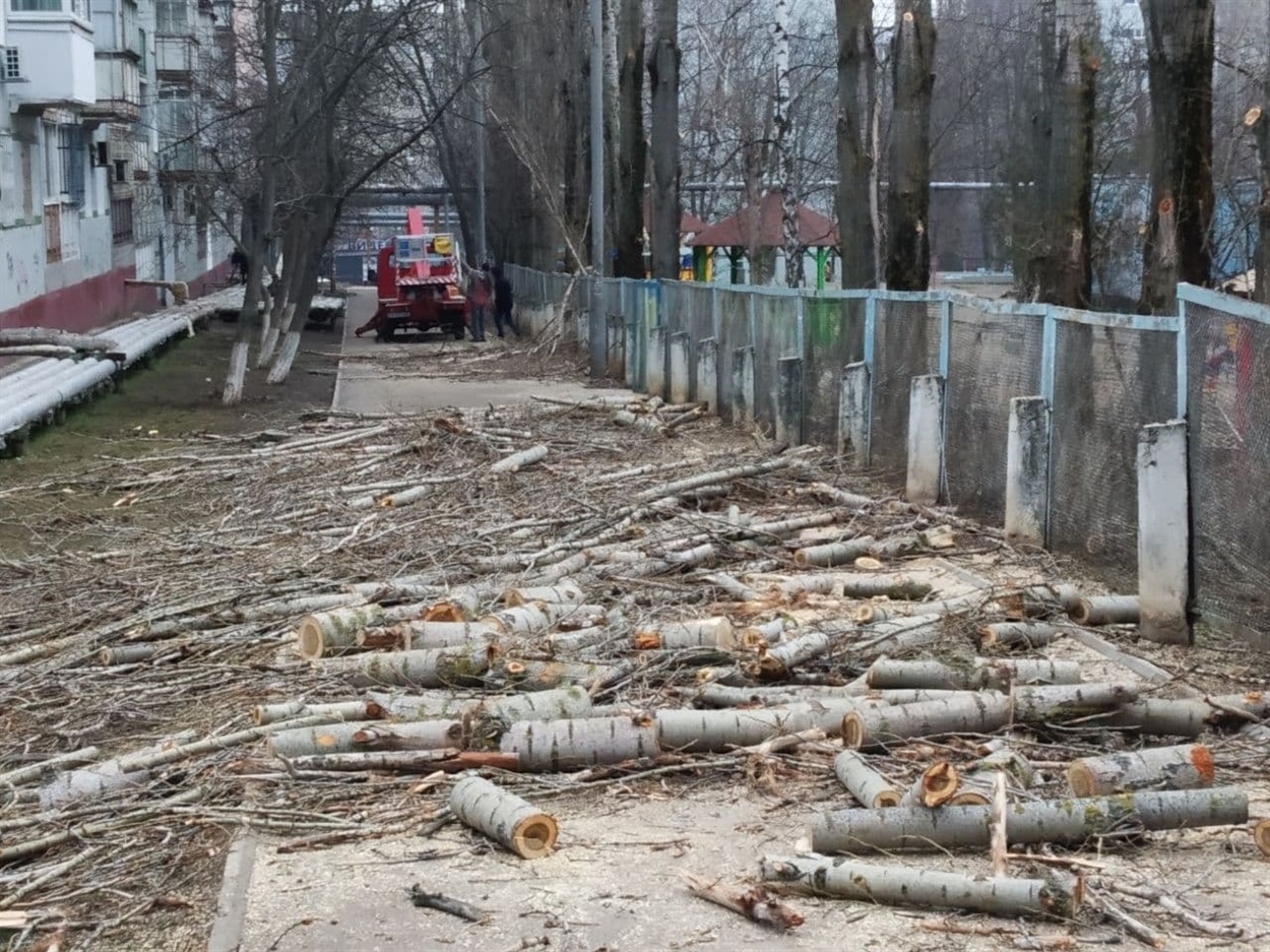 На тротуарах дійсно було багато зрізаного гілля