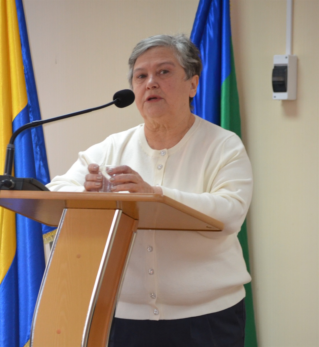 Виступ Людмили Самчинскьої на 23 сесії Южноукраїнської міської ради.