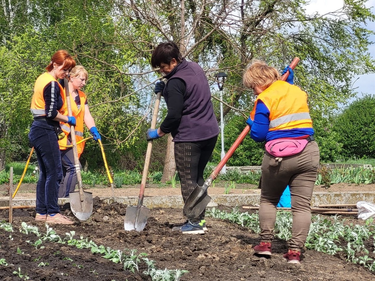 Вони дарують містянам красу
