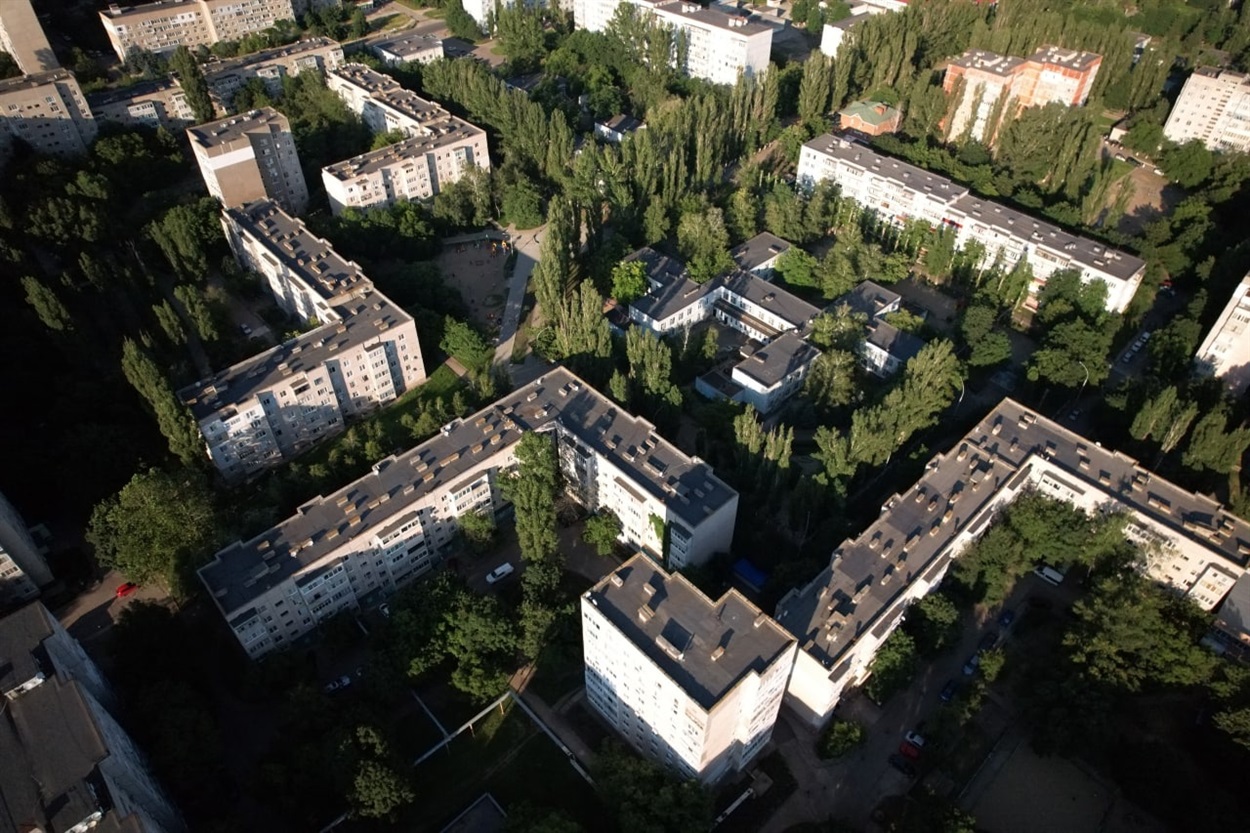 Величезні тополяки...