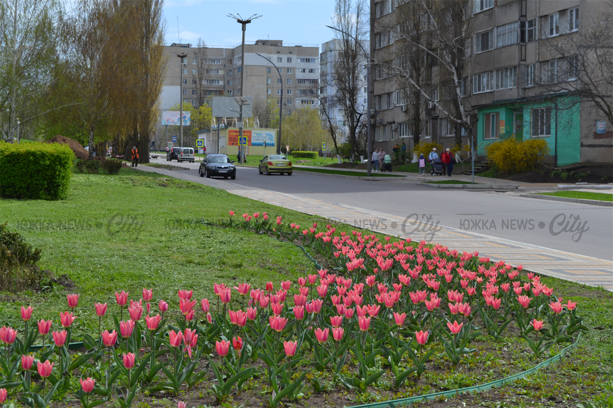 Чарівні тюльпани на вулиці Європейській