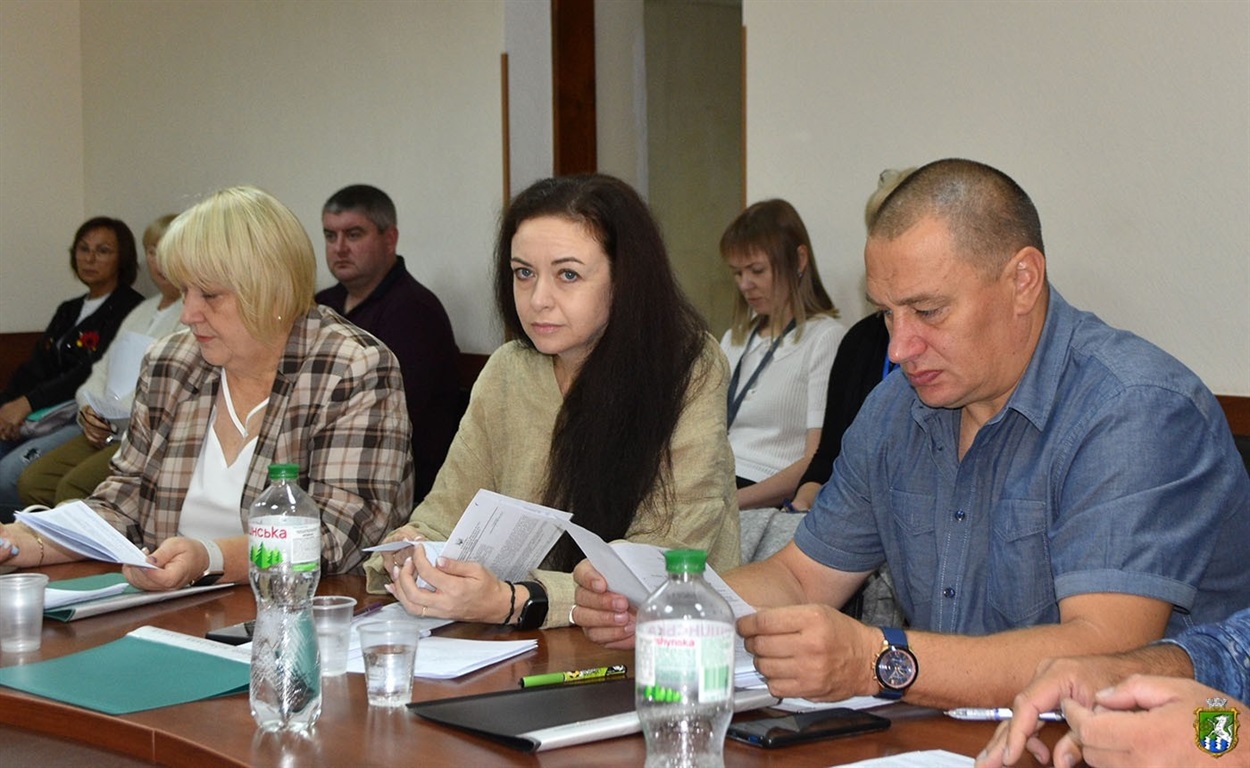 Анастасія Палько на засіданні виконавчого комітету