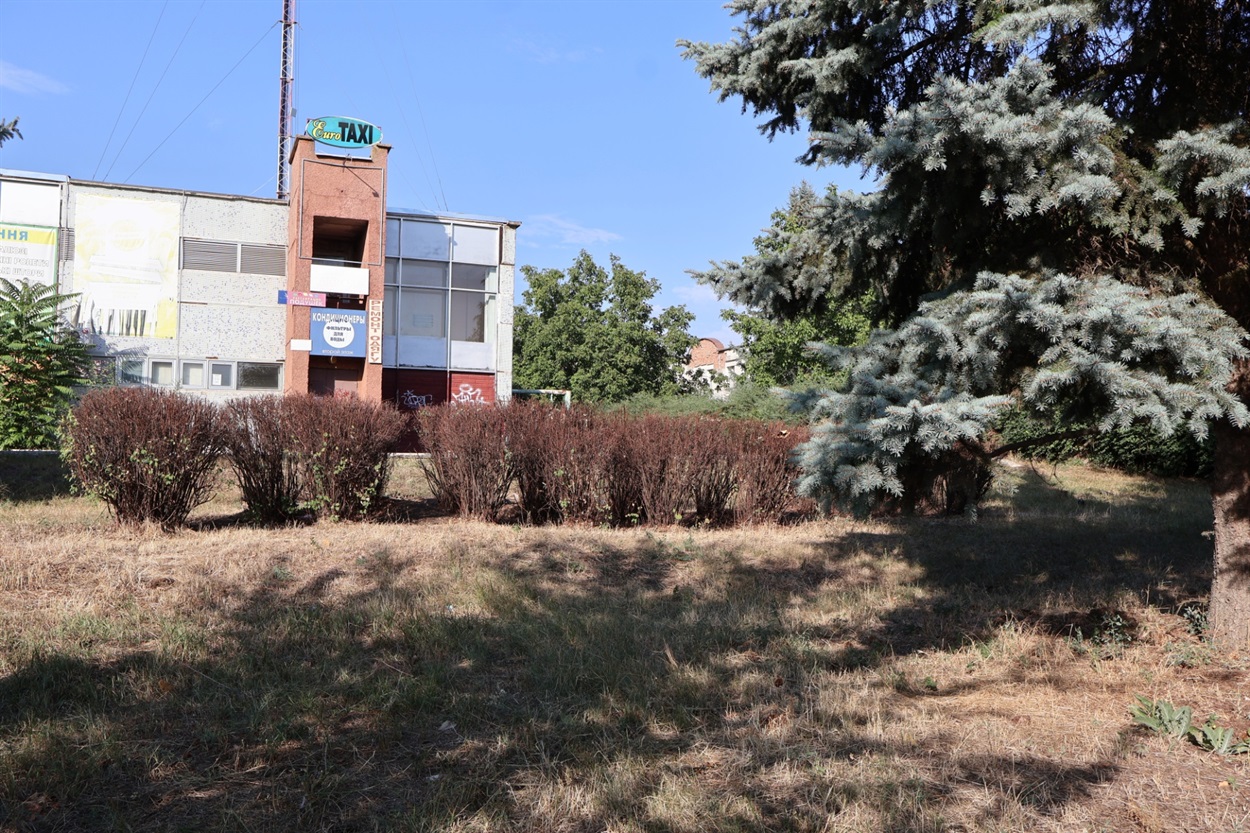 Вичищена клумба та обрізані кущі  біля автовокзалу