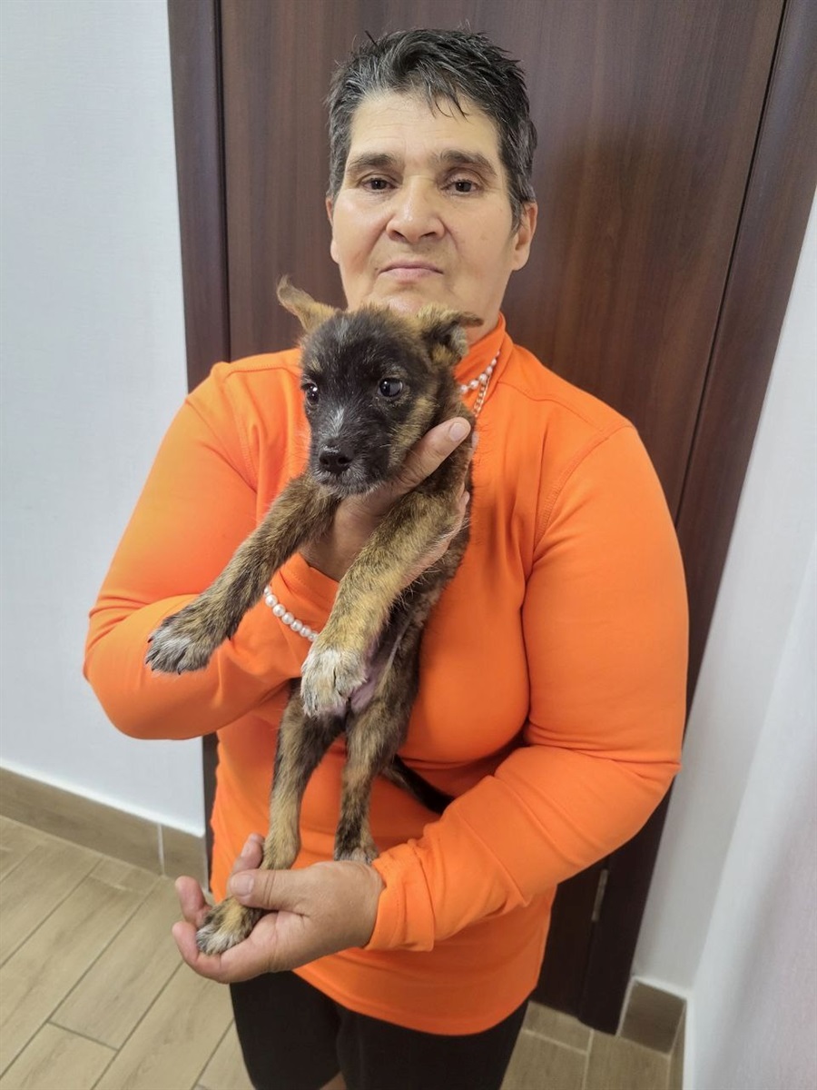 Магдалена Лойзі та Джіма