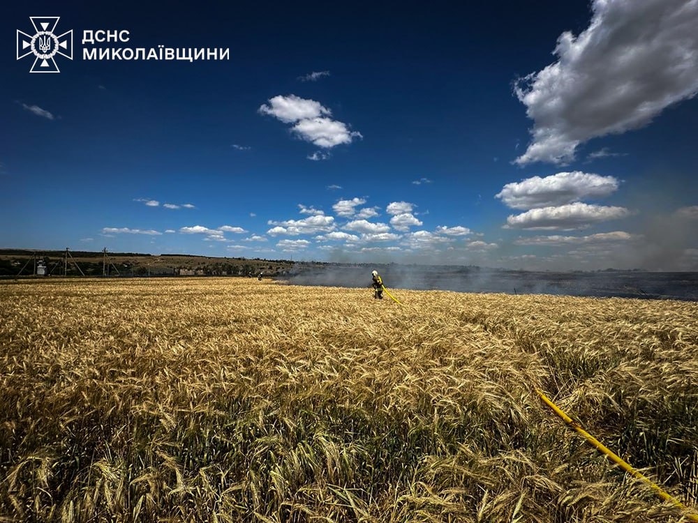 Пожежа на полі пшениці в Миколаївській області, червень 2025 року