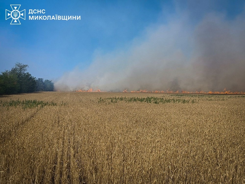 Пожежа на полі пшениці в Миколаївській області