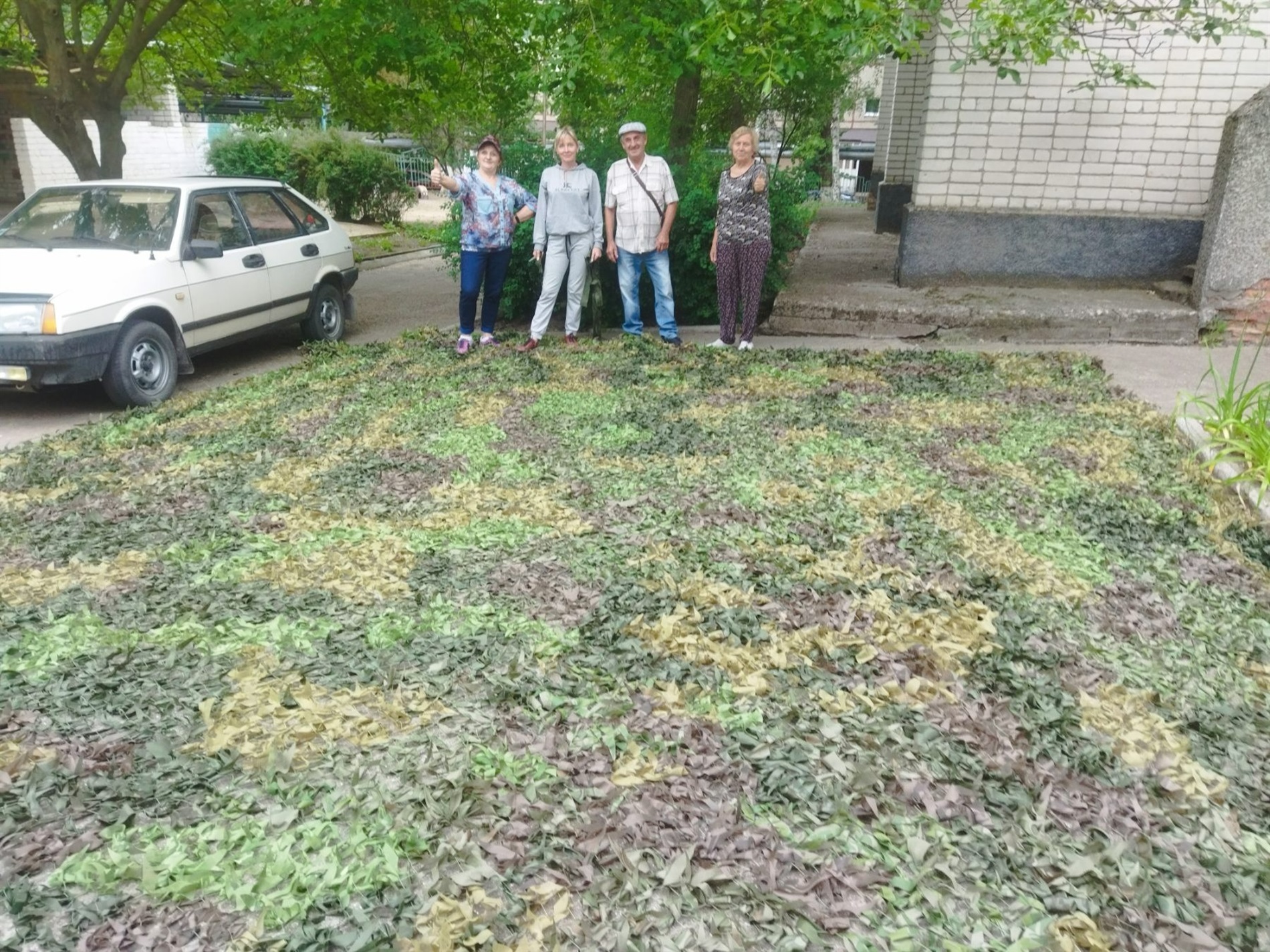 Як у Південноукраїнську волонтерська спільнота 