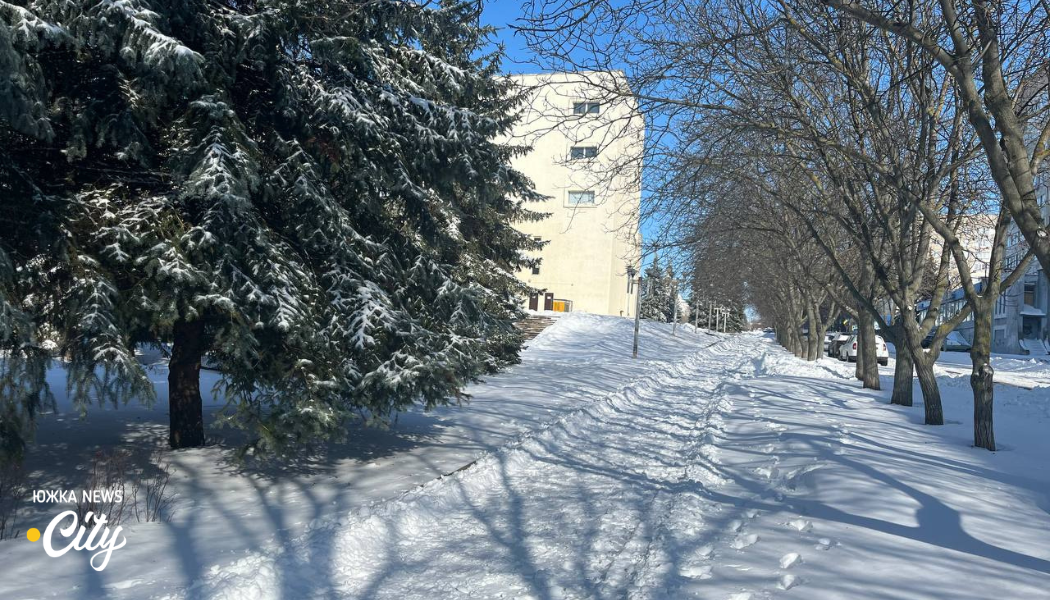 Тиха світла естетика зимового міста: засніжені дерева вздовж доріг
