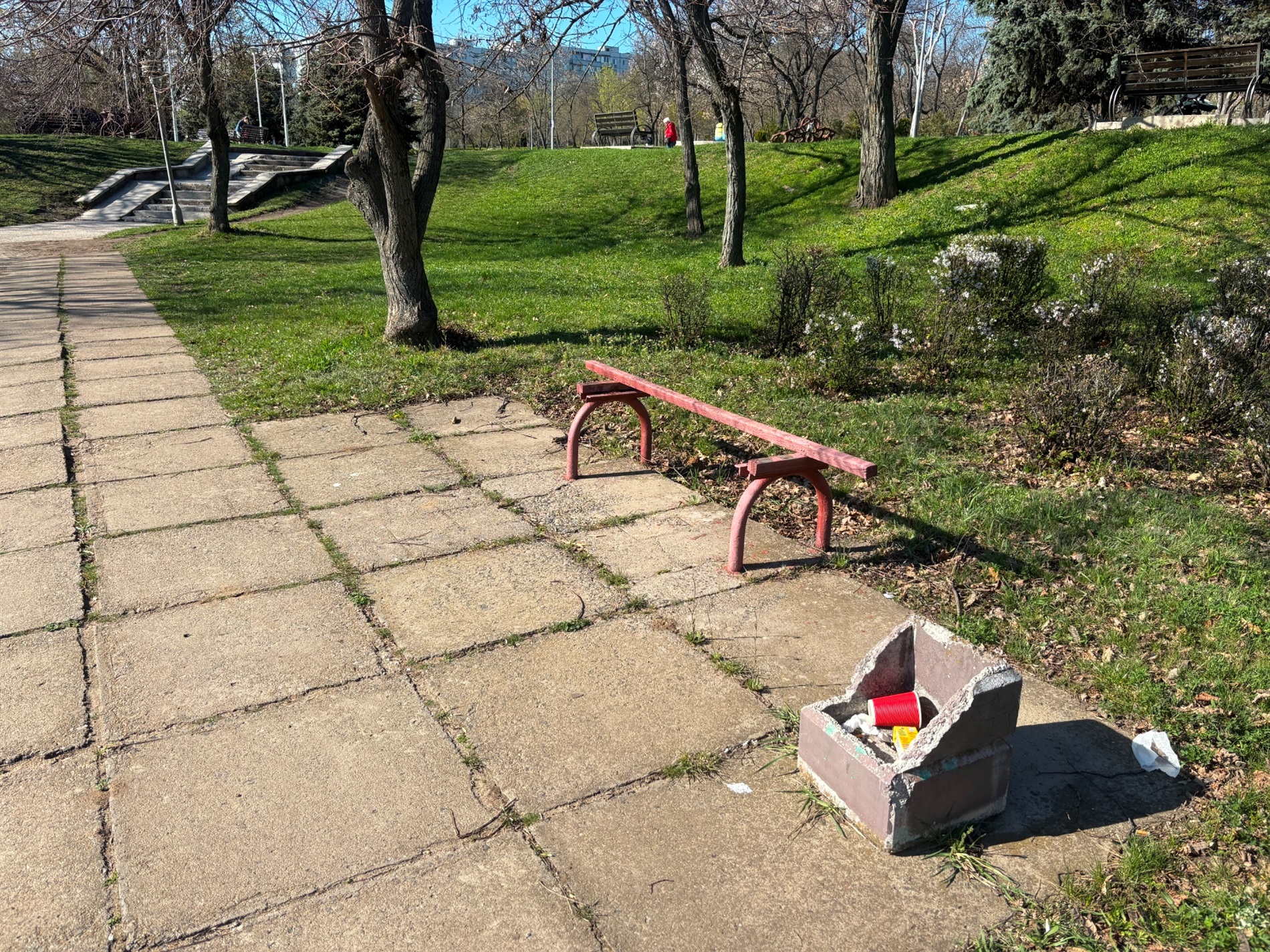 У Південноукраїнську оновлюють міський парк: висадили туї, сакури, модрини