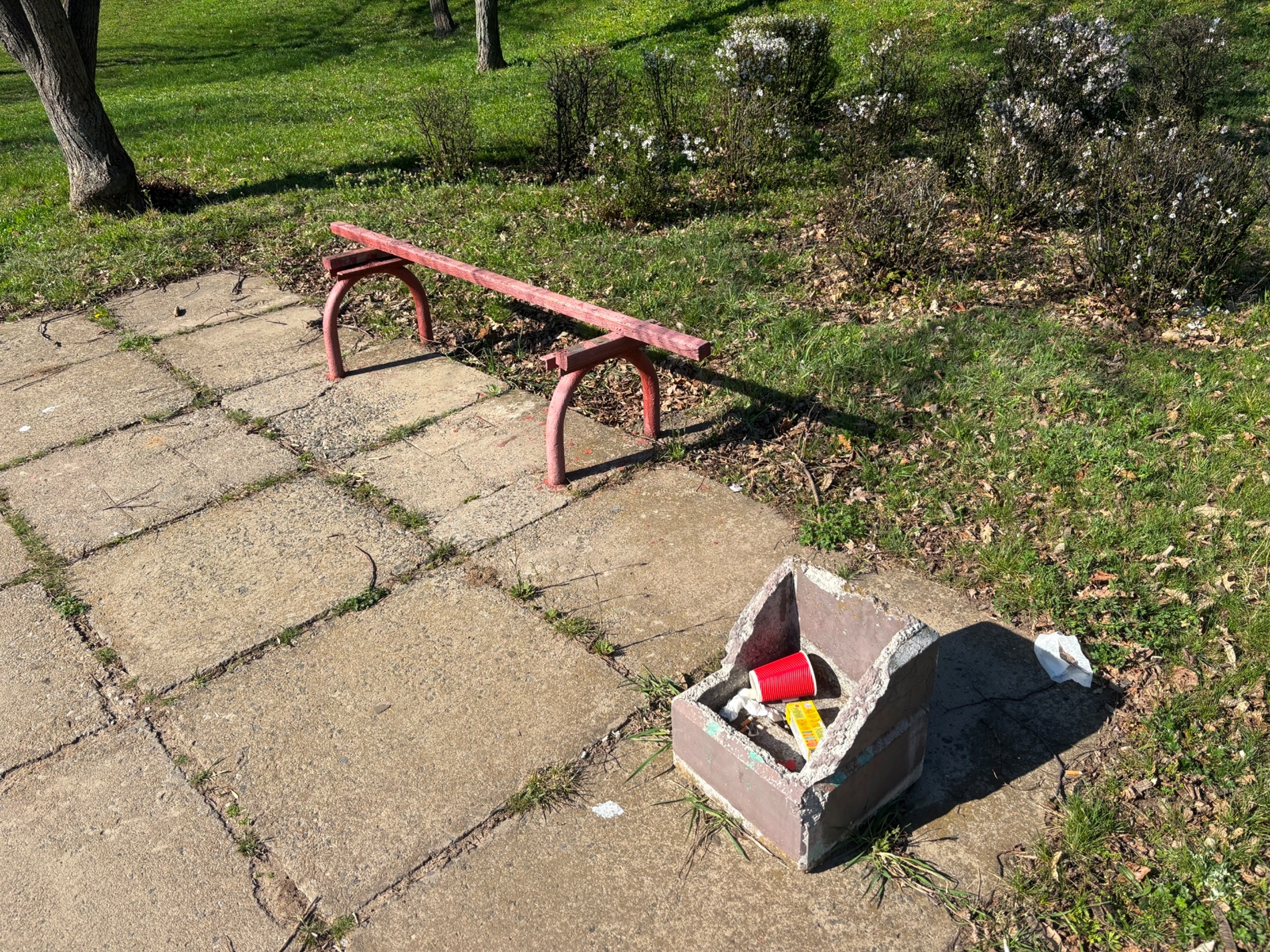 У Південноукраїнську оновлюють міський парк: висадили туї, сакури, модрини