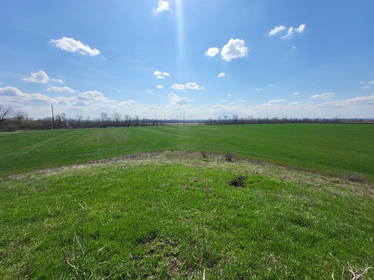 Панорама з верхівки кургану