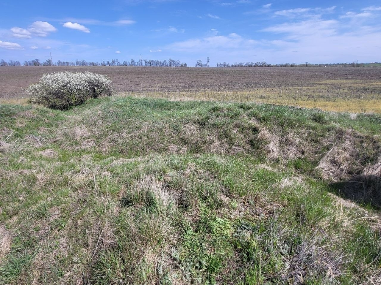 Як виглядають доісторичні споруди під Південноукраїнськом? Перша публічна екскурсія