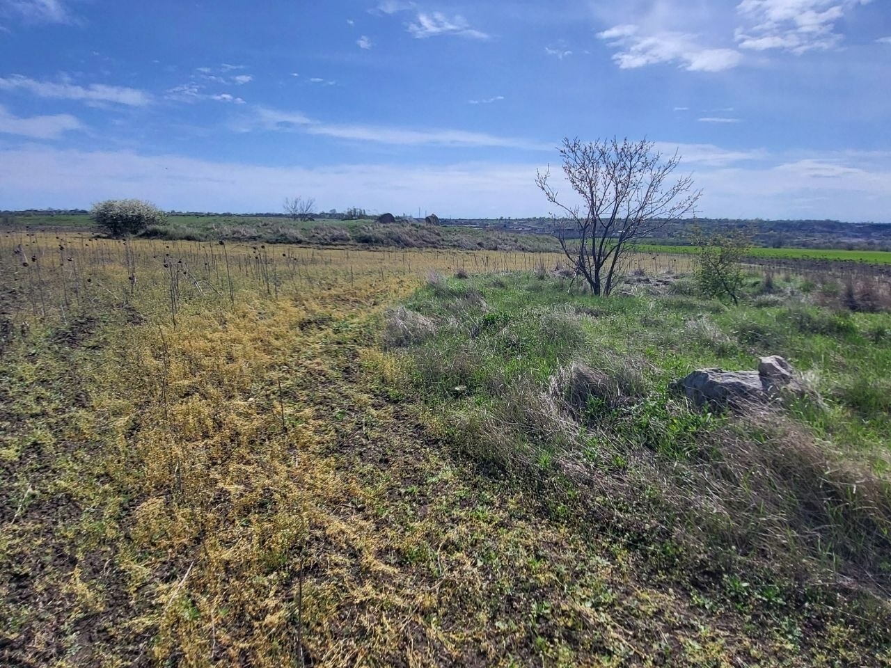 Як виглядають доісторичні споруди під Південноукраїнськом? Перша публічна екскурсія
