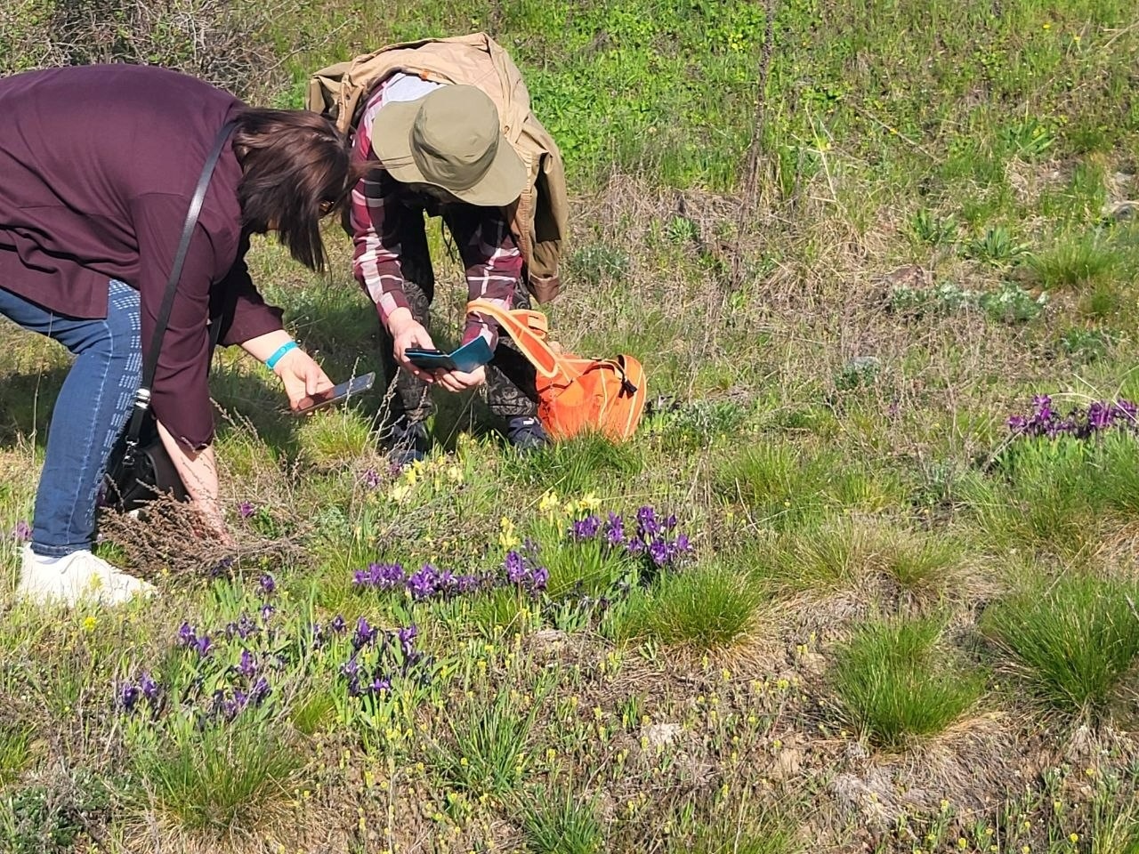 Як виглядають доісторичні споруди під Південноукраїнськом? Перша публічна екскурсія