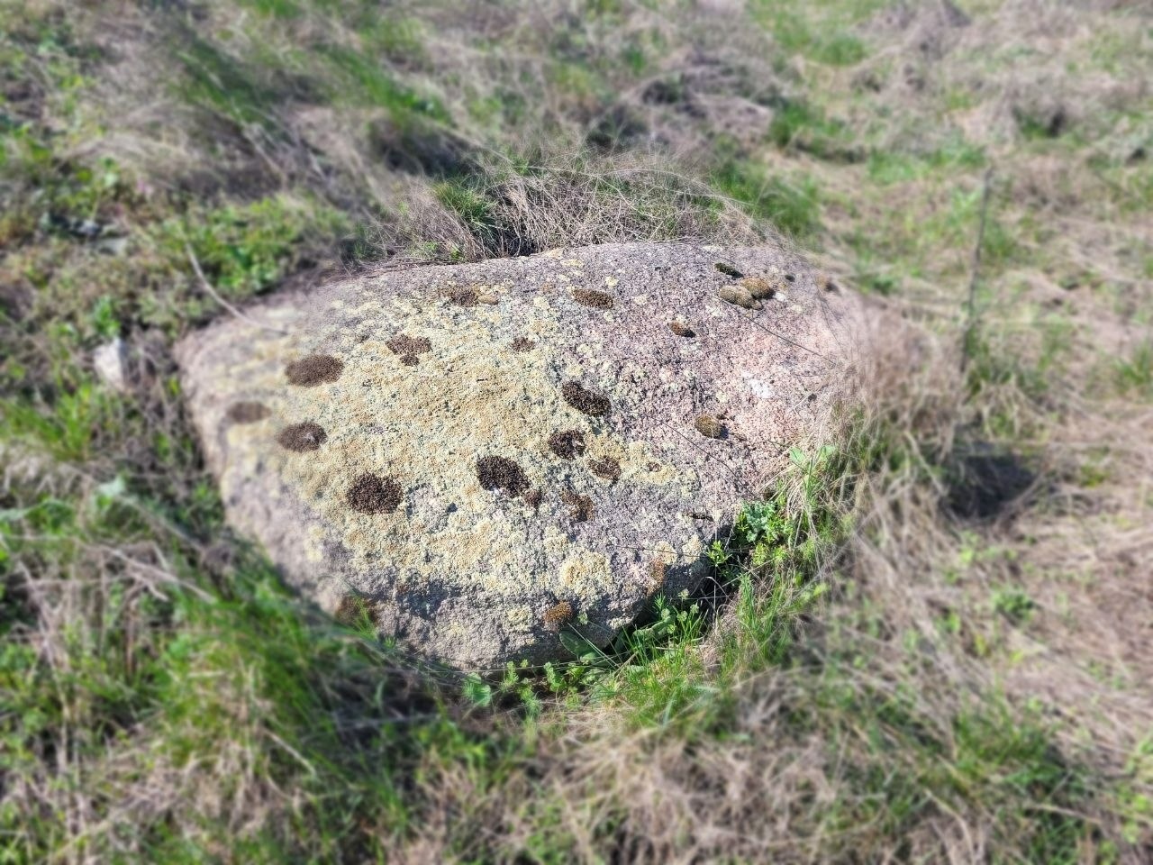 Як виглядають доісторичні споруди під Південноукраїнськом? Перша публічна екскурсія