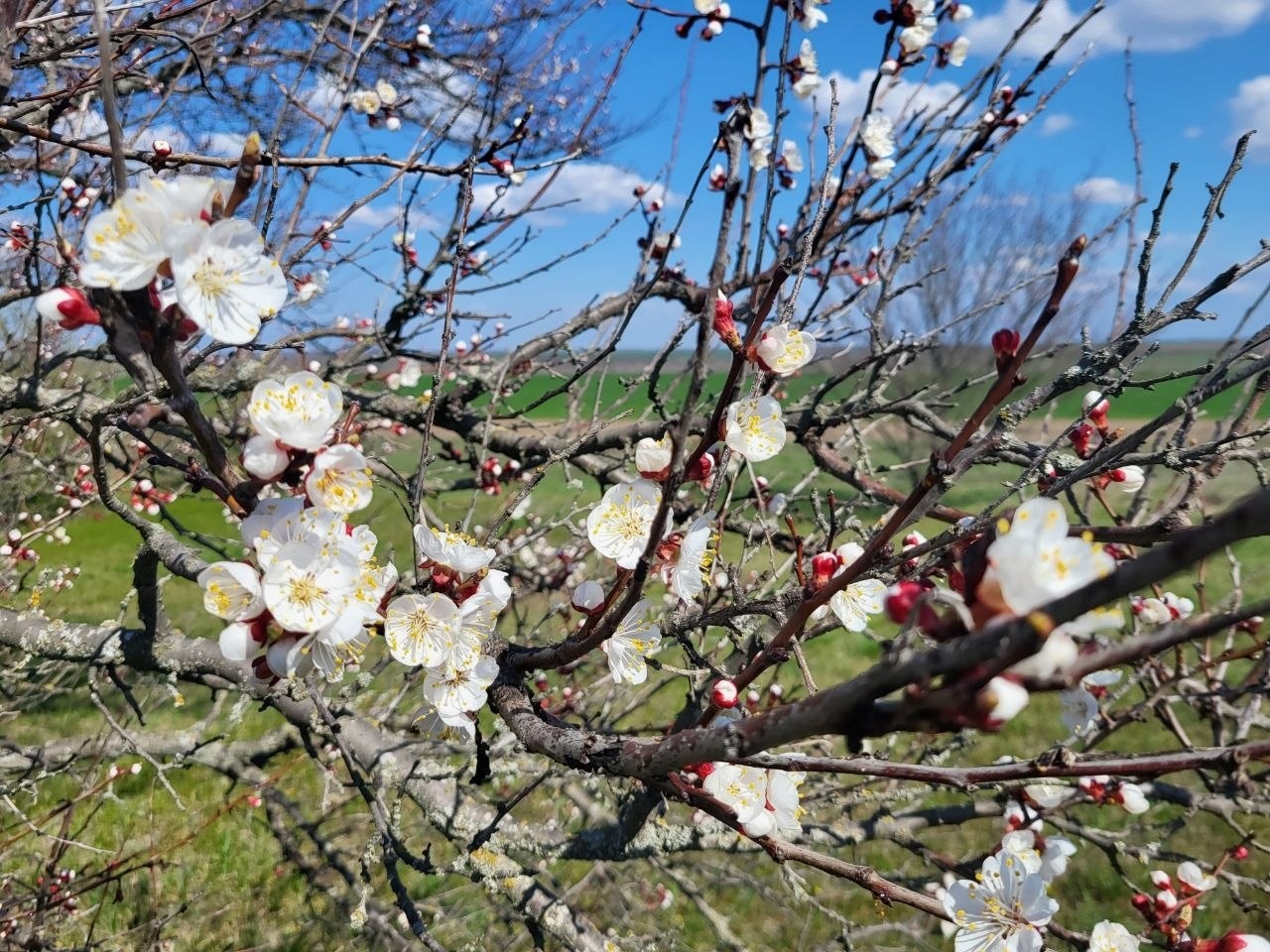 Як виглядають доісторичні споруди під Південноукраїнськом? Перша публічна екскурсія