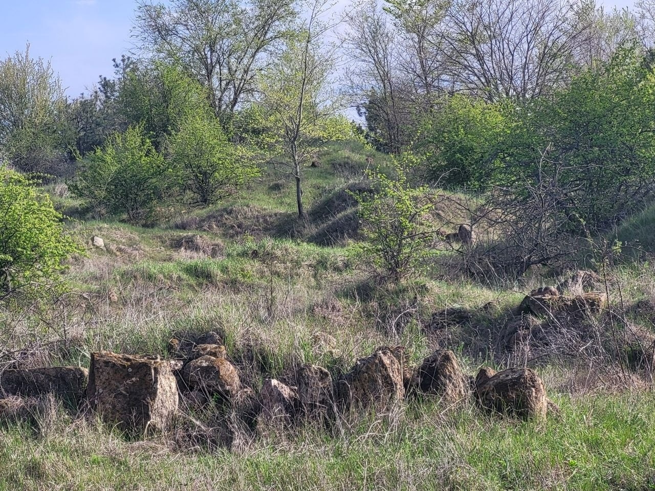 Як виглядають доісторичні споруди під Південноукраїнськом? Перша публічна екскурсія