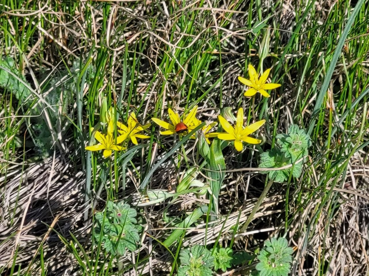 Як виглядають доісторичні споруди під Південноукраїнськом? Перша публічна екскурсія