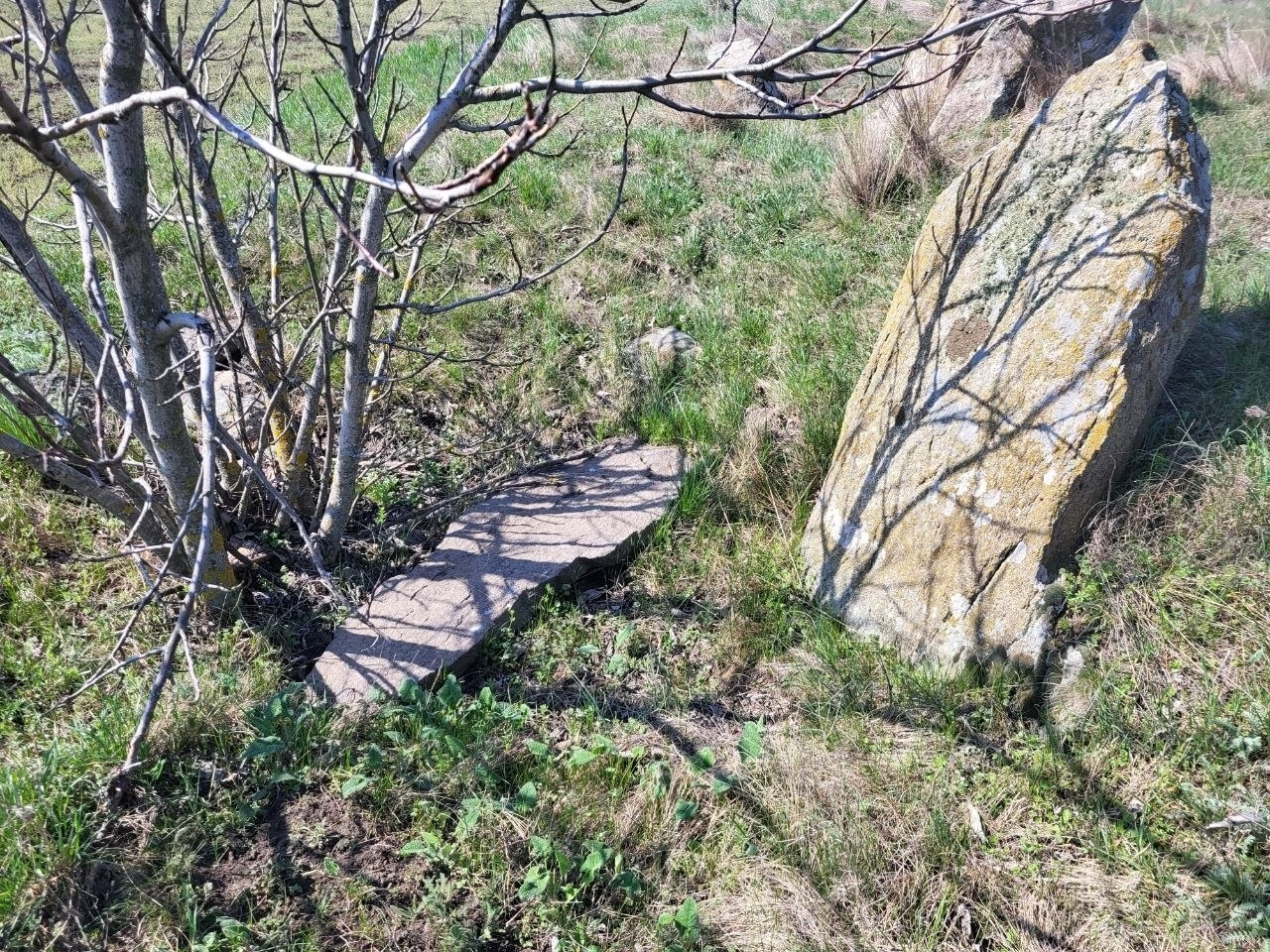 Як виглядають доісторичні споруди під Південноукраїнськом? Перша публічна екскурсія