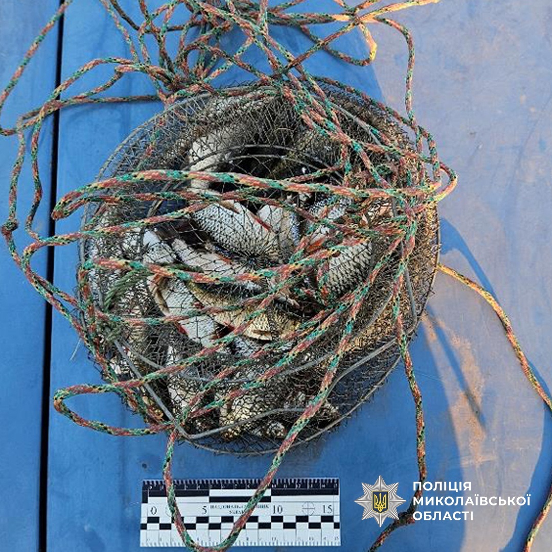 Нічний рейд та підводне полювання: на Вознесенщині виявили масштабний незаконний вилов