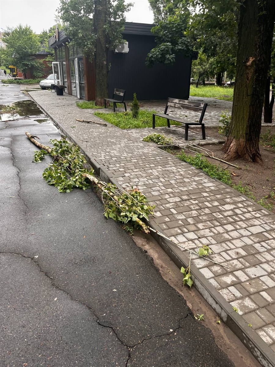 Рятувальники проти буревію: як ліквідовували наслідки вечірньої негоди в нашій громаді та поблизу