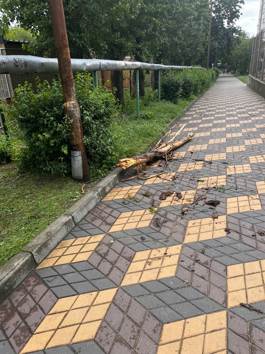 Рятувальники проти буревію: як ліквідовували наслідки вечірньої негоди в нашій громаді та поблизу