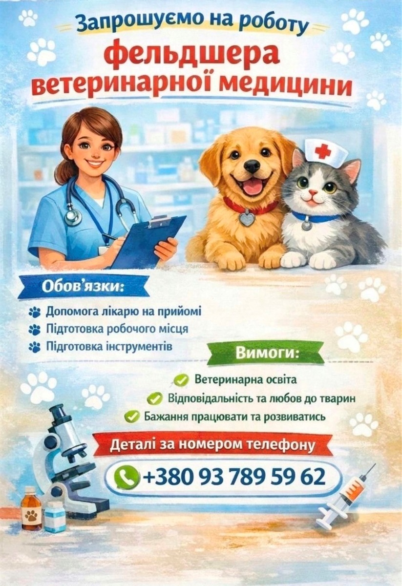 Свіжий огляд вакансій у Південноукраїнську на 17 червня: кого шукають та скільки платитимуть