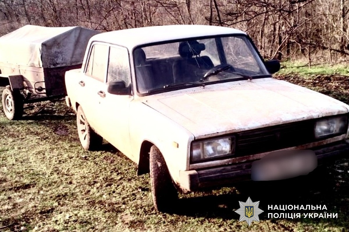 Рубали ліс на мільйони: на Вознесенщині викрили групу «чорних лісорубів»
