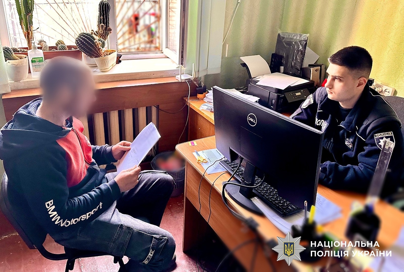 Бізнес на пеньках: на Первомайщині викрили групу, яка знищила цінні дерева на мільйони