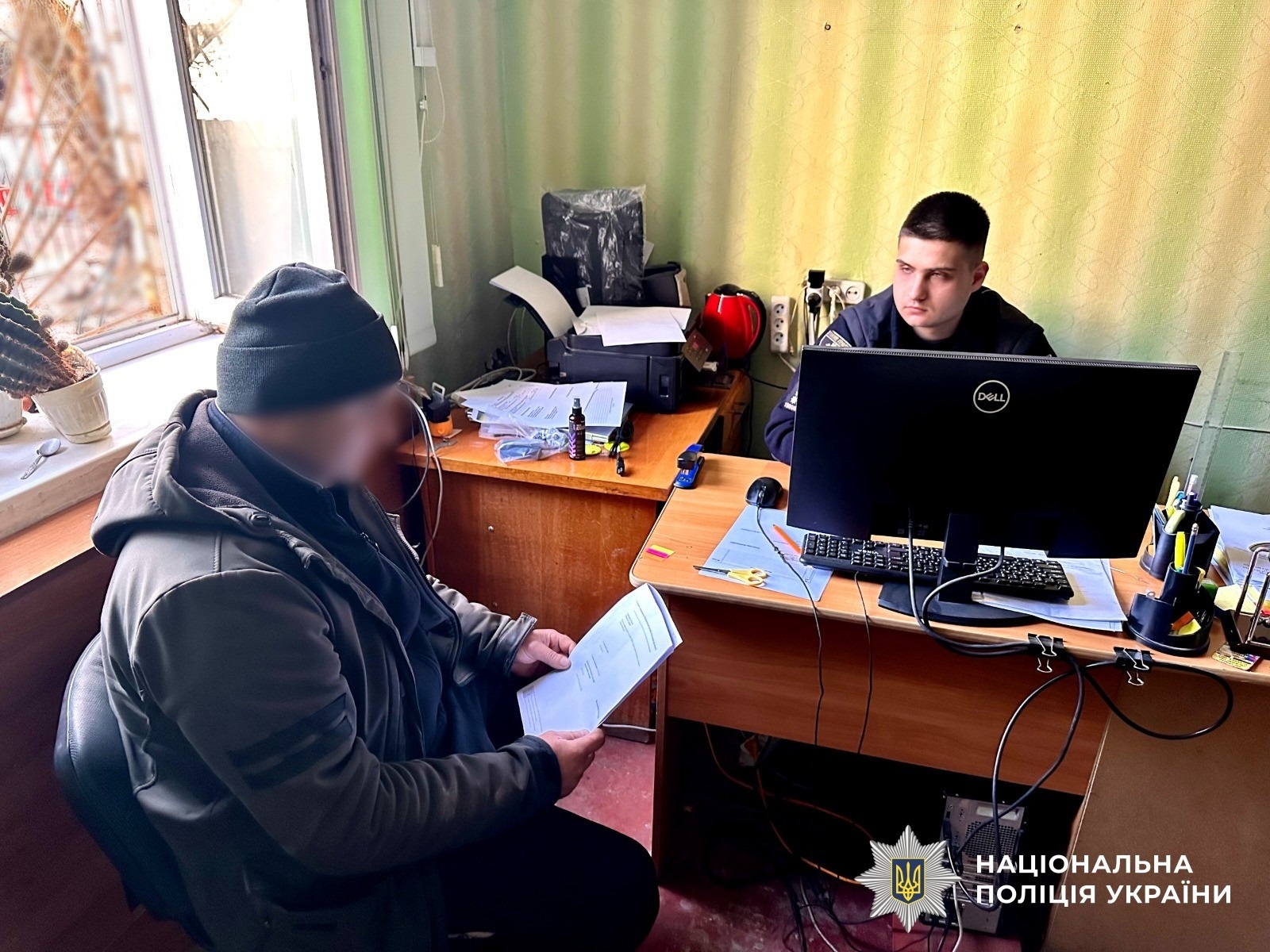 Бізнес на пеньках: на Первомайщині викрили групу, яка знищила цінні дерева на мільйони