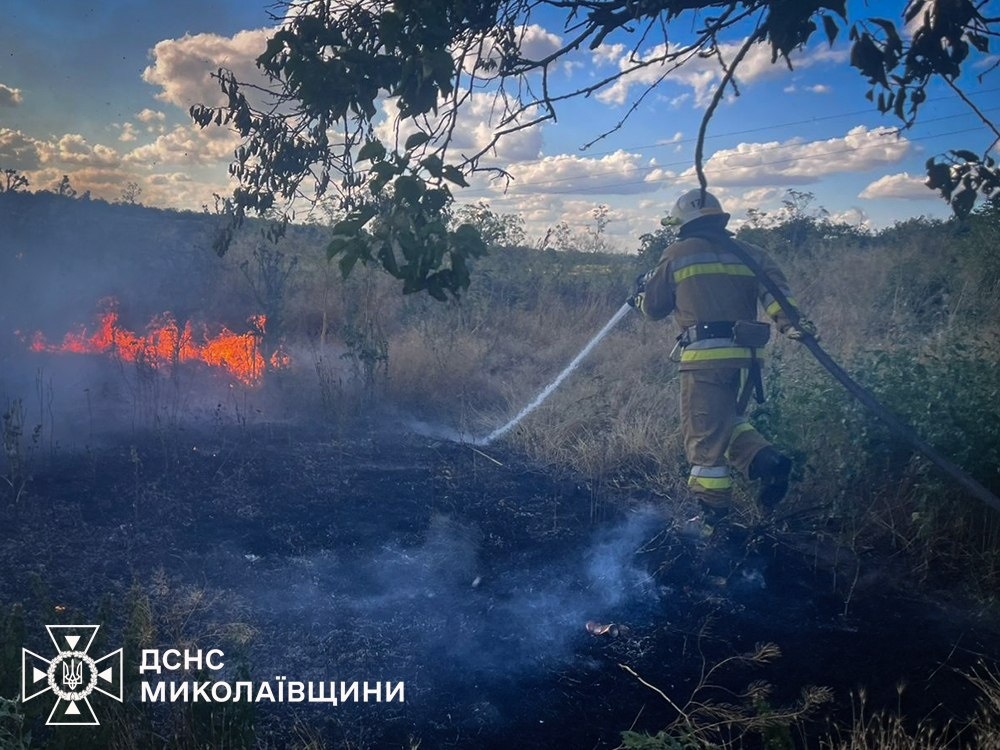 Пожежа на відкритій території