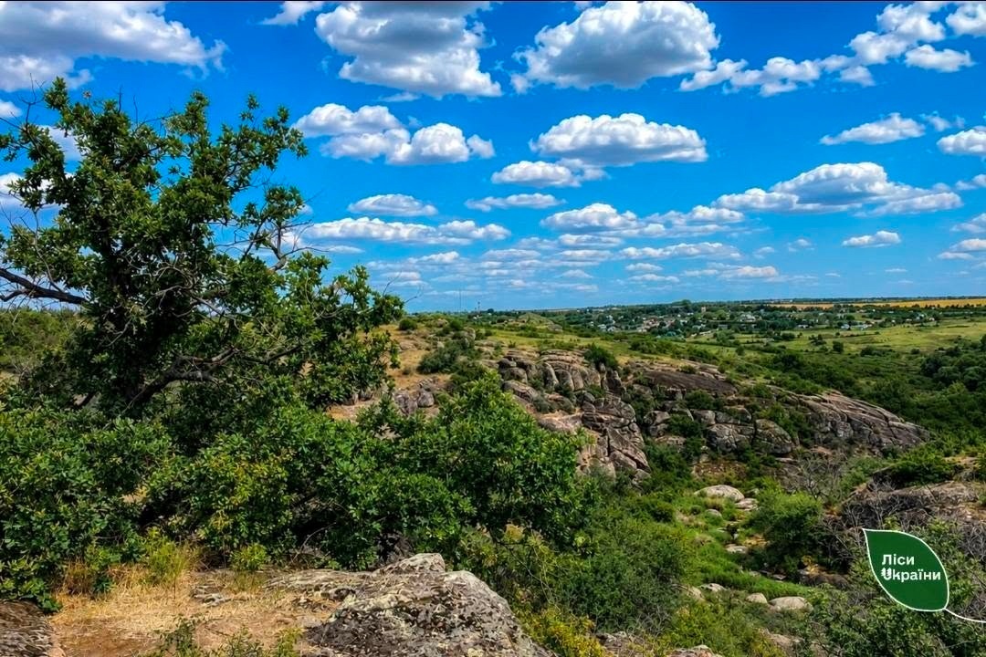 У Трикратському лісі створюють перший на півдні України велосипедний маршрут