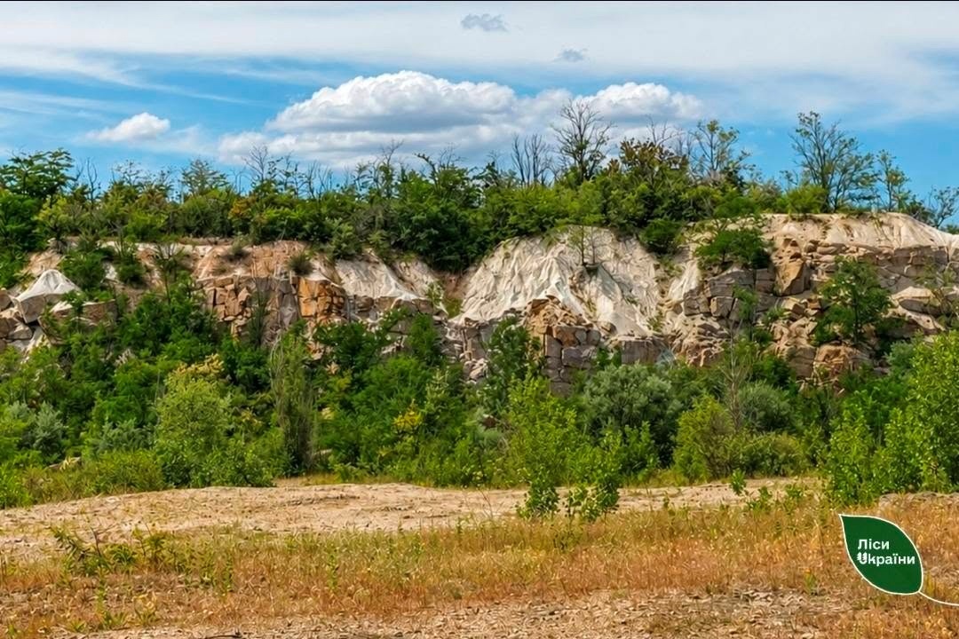 У Трикратському лісі створюють перший на півдні України велосипедний маршрут